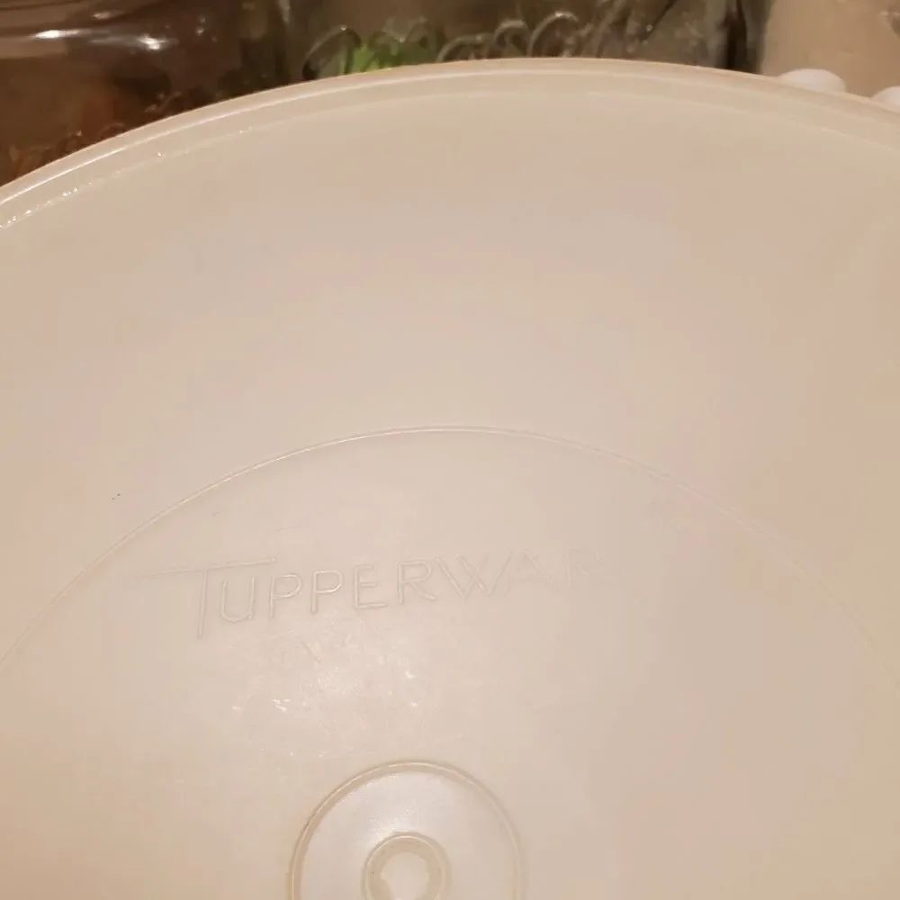 Vtg Tupperware Snack Tray - Picture 5 of 5